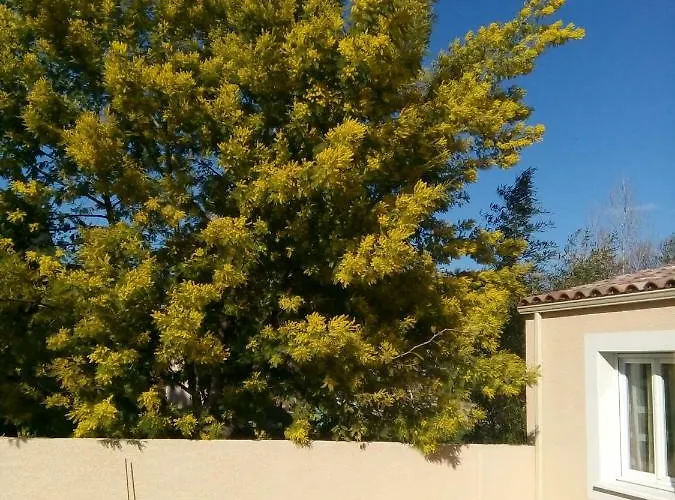 Maison Independante * Salinelles